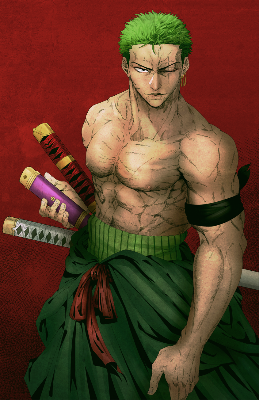 Zoro Swordsman